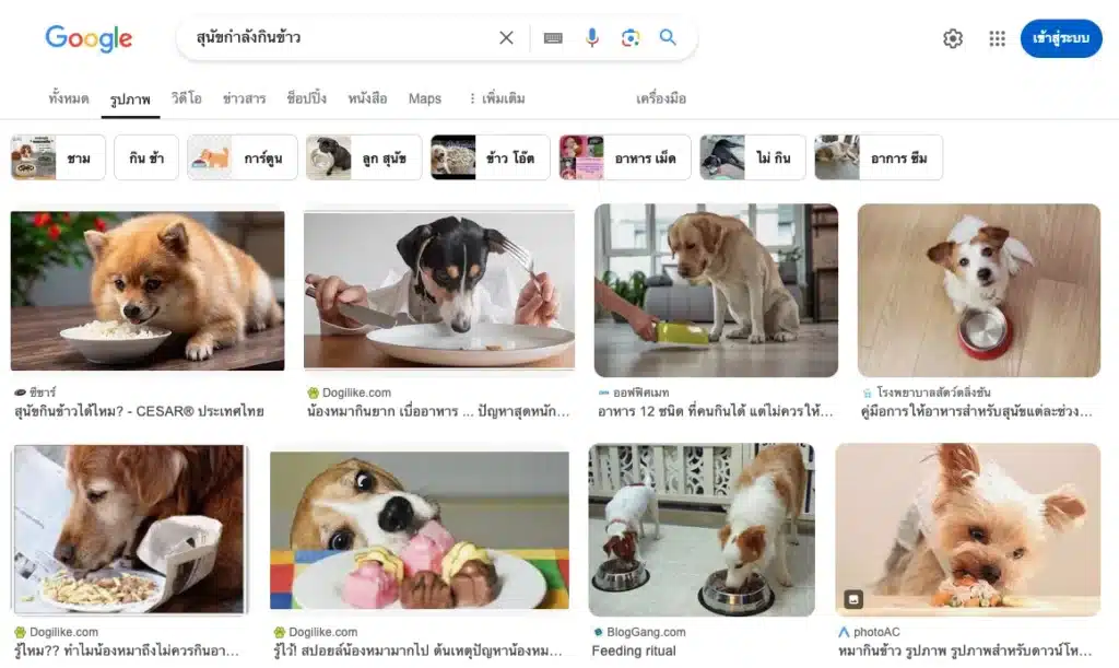 การค้นหารูปภาพผ่าน Google Image Search ที่มีการฟิลเตอร์ขั้นสูง ปรับแต่งผลการค้นหาได้ละเอียดยิ่งขึ้น