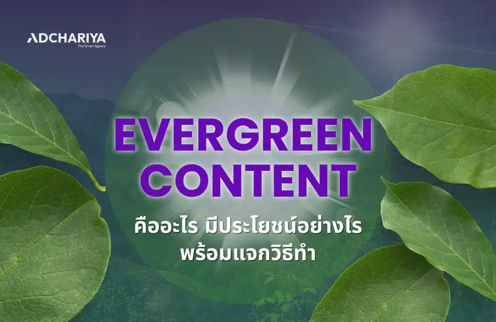 Evergreen Content คืออะไร แตกต่างกับคอนเทนต์แบบอื่นยังไง
